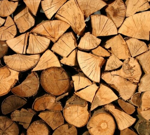 Mind your own logs